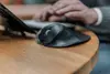 BakkerElkhuizen HandshoeMouse Shift Bluetooth мышь Photo 2