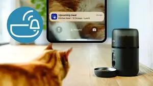 Advance mealtime notifications