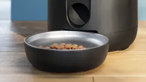 Your cat will love it