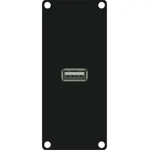 CAYMON Модуль с разъемом USB 2.0 типа A CASY161/B — разъем USB 2.0 тип A