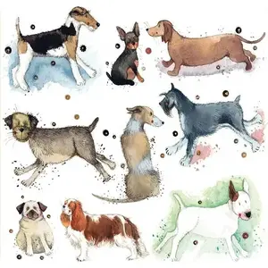 Coaster TEKA C175 with dog design