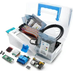 Development kit Raspberry Pico W — Raspberry Pi Pico W board with wireless microcontroller