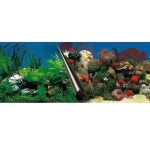 Akvārija fons AQUA DELLA 80x40 cm — akmeņu/korāļu rifa tekstūra