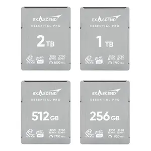CFexpress Type B card Exascend Essential Pro 256 GB — 3700 MB/s read, 3150 MB/s write, 3D TLC NAND, silver