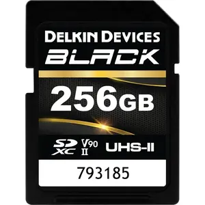 Delkin Black Rugged SDXC memory card 256 GB Class 10 UHS-II V90 (DSDBV90256BX)