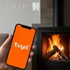 Gas leak detector QOLTEC NG Tuya Photo 4