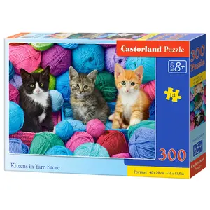 Jigsaw puzzle Castorland B-030477 — 300 pieces, kitten animal image, 470×330 mm
