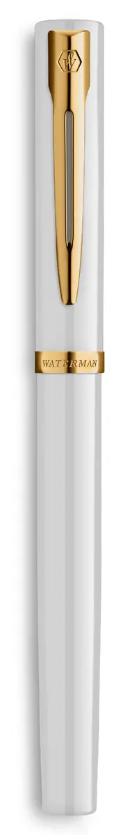 Pildspalva Waterman 2225469 Photo 2