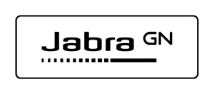 Wireless Headset Jabra 38599-999-989 — Jabra brand wireless headset (model 38599-999-989)