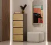 Chest of Drawers Top E Shop ALMA 4-door 500×1190×400 Photo 7