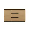 Atvilktņu skapis top e shop Topeshop 2D3S ANT/ART BA KPL Photo 3