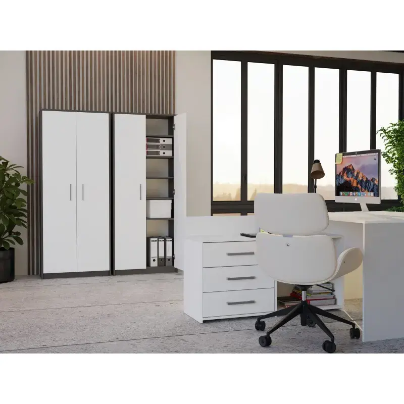 Закрытый шкаф-стеллаж top e shop OLIV 2-дверный Photo 5