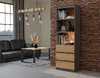 Офисный шкаф top e shop RS-60 ANT/ART KPL Photo 2