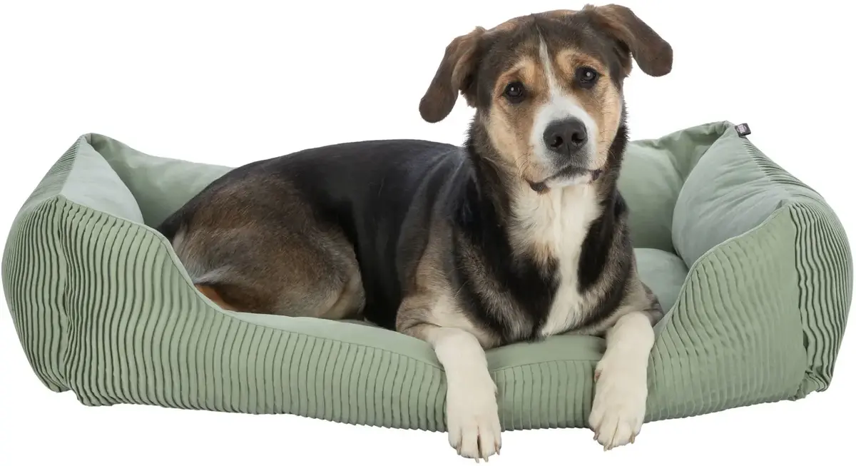 Bolster guļvieta Trixie Marley 500×600 mm Photo 13