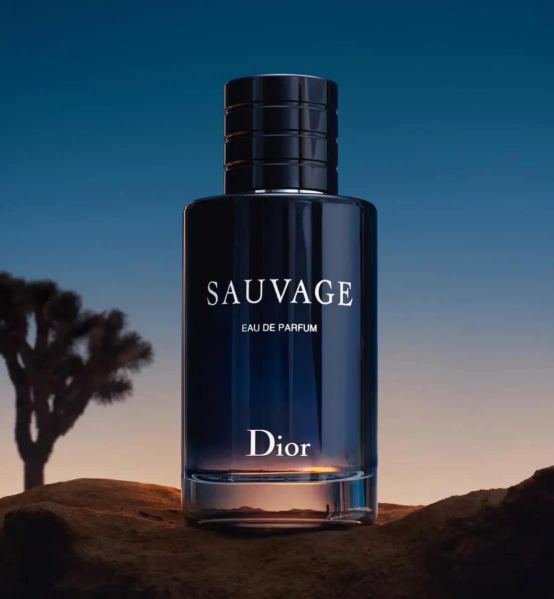 DIOR Sauvage 30 ml tualetes ūdens, uzpildāms Photo 2