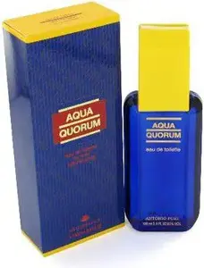 Tualetes ūdens Antonio Puig Agua Quorum 100 ml