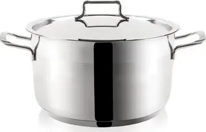 Stainless steel pot with lid ORION ANETT 7.1 L (18/10) — universal saucepan