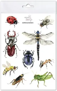 Iron-on Transfers Mama Maluje Naprasowanki Owady – decorative insect motifs for textiles