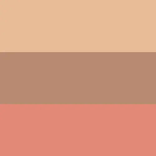 Rimmel Terra Sculpting Palette 002 Coral Photo 5