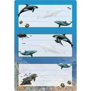 Self-adhesive Rectangle Labels Herma 5579 — Permanent adhesive, Multicolour, 6 pcs