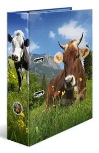 Ring Binder A4 Herma 20140, cardboard, A4 format, single-piece, multicolour