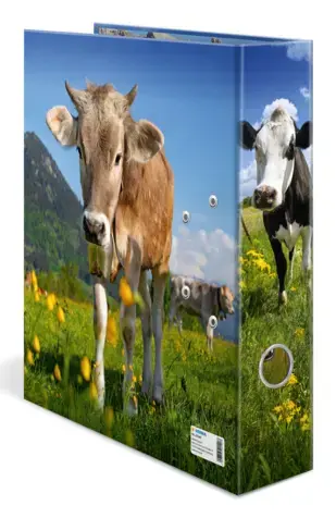 Ring Binder A4 Herma 20140 Photo 3