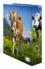 Ring Binder A4 Herma 20140 Photo 3