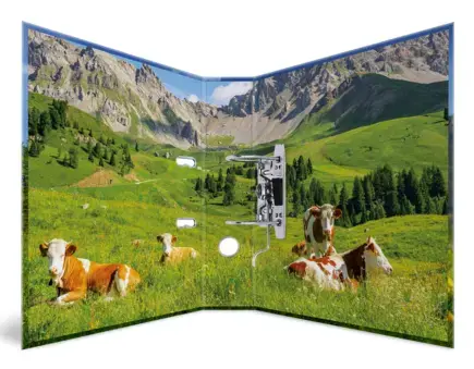 Ring Binder A4 Herma 20140 Photo 4