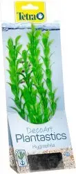 Аквариумное растение Tetra DecoArt Plant M Hygrophila — декоративное растение для аквариума