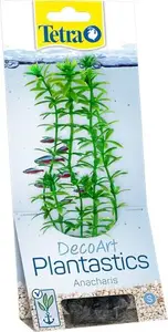 Ūdensaugs Tetra DecoArt Plant S Anacharis — dzīvais anaharis akvārijam, mazs izmērs