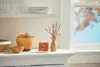 Yankee Candle Cinnamon Stick круглая стеклянная свеча Photo 3