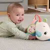 Fisher-Price Roaming Rhino — мягкая игрушка для живота Photo 3