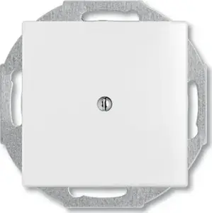 Cover plate ABB basic55, glossy white, 1-module