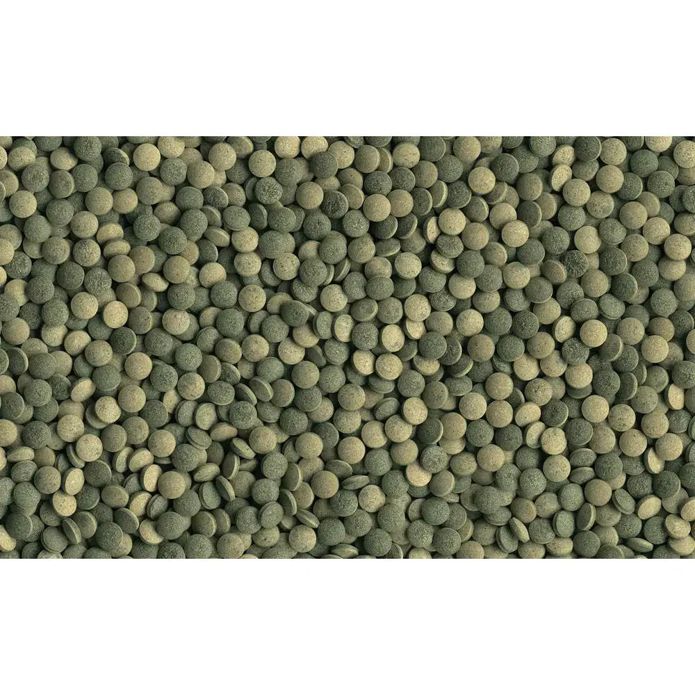 Tetra Pleco Tablets sausā barība tabletēs – 58 gab. Photo 2