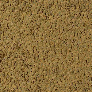 Fish food Tetra Pleco Wafers 15 g pouch – sinking wafers for plecostomus and bottom-feeding fish