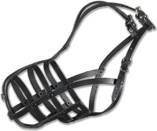Pet Accessories