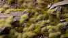 Scale model plants Gamers Grass GG6-LG Photo 4