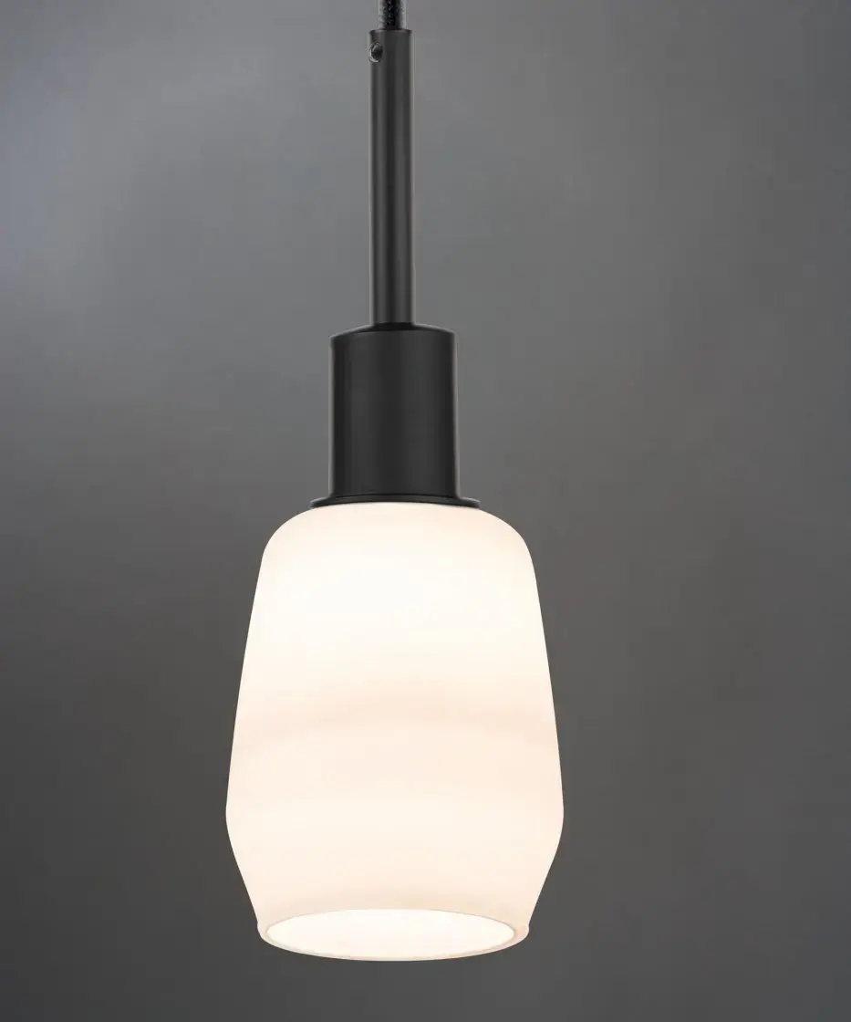 Paulmann DecoSystems Flexible mount E14 suspension light Photo 4