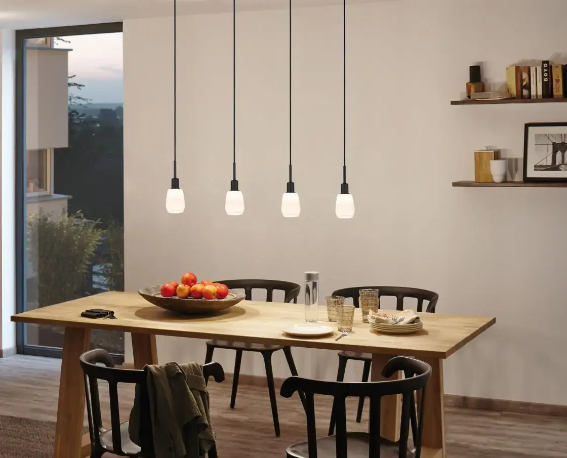 Paulmann DecoSystems Flexible mount E14 suspension light Photo 5