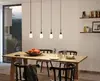 Paulmann DecoSystems Flexible mount E14 suspension light Photo 5
