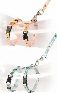 Cat harness Duvo+ "Kitty Cat" adjustable 15–25 cm neck, 8 mm width, 125 cm leash