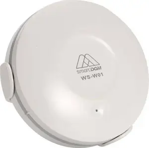 Wireless Door/Window Sensor DGM DGM WS-W01 — battery-powered wireless security sensor