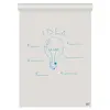 NOBO Flipchart Pad 58×81 cm, 50 Sheets Photo 6