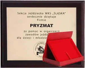 Award Plaque Victoria Sport HG152 with Engraved Laminated Plastic Plate and Case, 250x200 mm