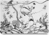 header-product