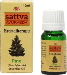 Essential oil Pine 10 ml — No name brand — aromatherapy, 100% pure topical fragrance