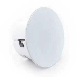 Потолочный динамик iEAST LARK203v — постоянное напряжение и сопротивление (1 шт.)