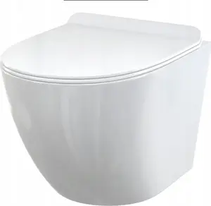 Wall-hung toilet bowl with slim soft-close seat, ALCADRAIN WC SOLID, Duroplast