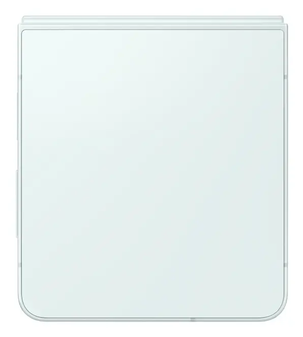 Смартфон Samsung Galaxy SM-F766BLGGEUE 6.9" Photo 3