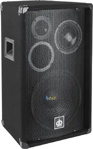 Stāvpults skaļrunis Dibeisi Q1201 200 W, pasīvs audio skaļrunis
